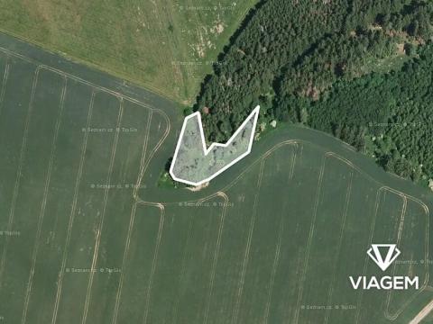 Prodej podílu lesa, Radošovice, 341 m2