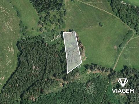 Prodej podílu lesa, Radošovice, 547 m2