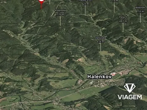 Prodej podílu lesa, Halenkov, 2438 m2