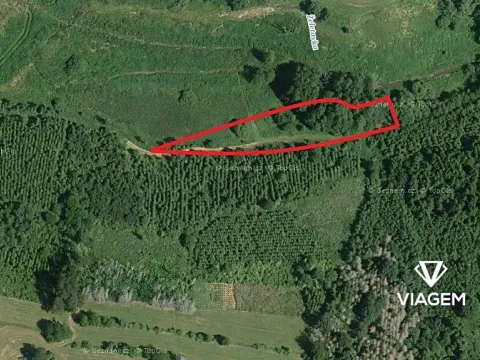 Prodej podílu lesa, Budeč, 1377 m2