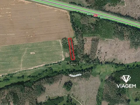 Prodej podílu lesa, Dunice, 693 m2