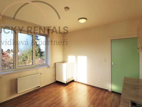 Pronájem bytu 1+kk, Průhonice, U Křížku, 20 m2