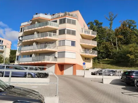 Prodej bytu 2+kk, Mladá Boleslav, Laurinova, 63 m2