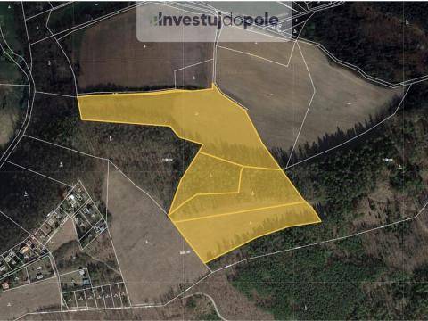 Prodej louky, Bojanovice - Malá Lečice, 56080 m2