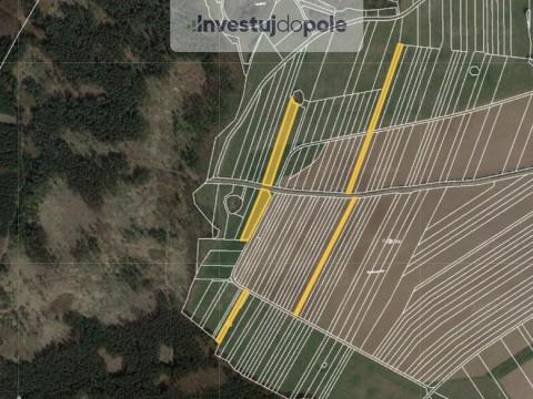 Prodej pole, Ostrov u Macochy, 9894 m2