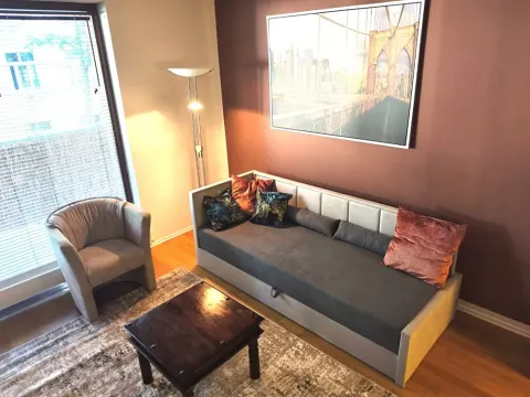 Pronájem bytu 1+kk, Praha - Žižkov, Kališnická, 39 m2