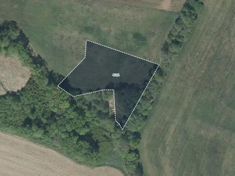 Prodej louky, Lázně Bělohrad, 4424 m2