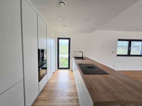 Pronájem rodinného domu, Dobřejovice, V Hůrce, 198 m2