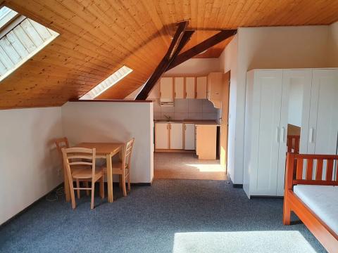 Pronájem bytu 1+kk, Červený Újezd, U Větráku, 43 m2