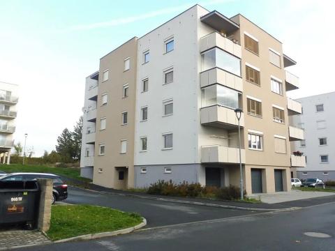 Dražba bytu 3+1, Klatovy, K Čínovu, 88 m2