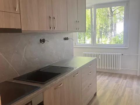 Pronájem bytu 1+1, Uherské Hradiště, Na Rybníku, 37 m2