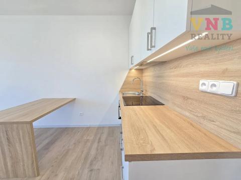 Pronájem bytu 1+kk, Olomouc, Aloise Rašína, 30 m2