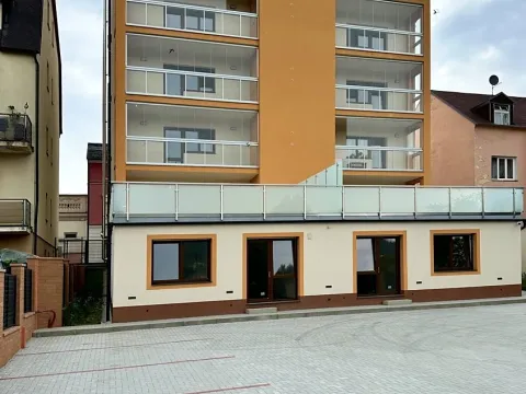 Prodej bytu 3+1, Karlovy Vary, U Trati, 88 m2