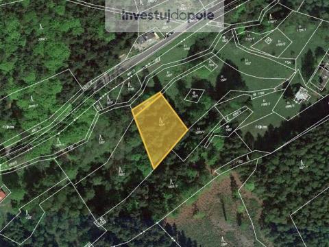 Prodej lesa, Jablonec nad Jizerou - Bratrouchov, 1281 m2