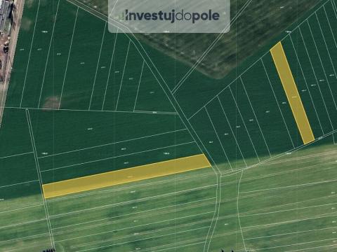 Prodej pole, Pardubice, 2906 m2