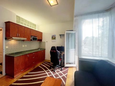 Pronájem bytu 1+kk, Brno, Pellicova, 17 m2
