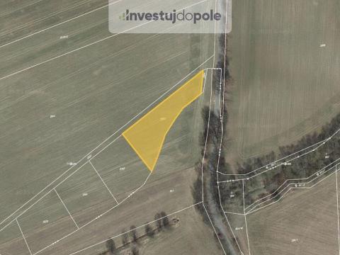 Prodej pole, Radíč - Dubliny, 2081 m2