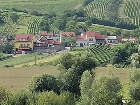 Prodej pozemku pro bydlení, Bořetice, 1163 m2