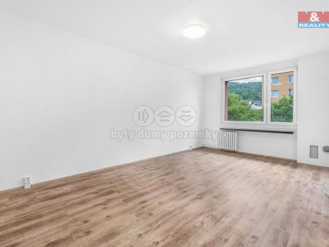 Prodej bytu 3+1, Ústí nad Labem - Střekov, Nová, 81 m2