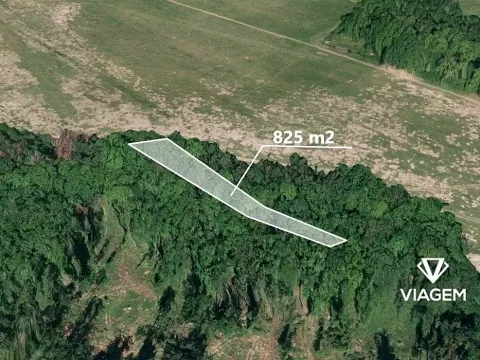 Prodej lesa, Loukov, 825 m2