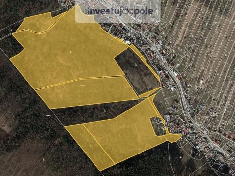 Prodej louky, Jankovice, 1777 m2