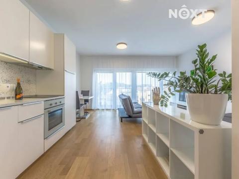 Pronájem bytu 1+kk, Praha - Smíchov, Gabrielská, 37 m2