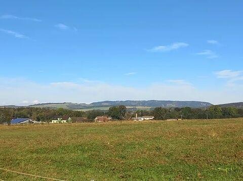 Prodej louky, Police nad Metují, 8000 m2