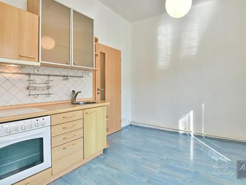 Prodej bytu 1+1, Velké Březno, 32 m2