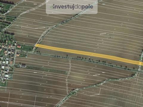 Prodej pole, Mutějovice, 11110 m2