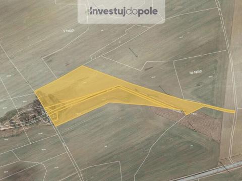 Prodej pole, Hracholusky, 12319 m2
