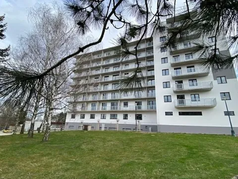 Pronájem bytu 1+kk, Jihlava, Okružní, 44 m2
