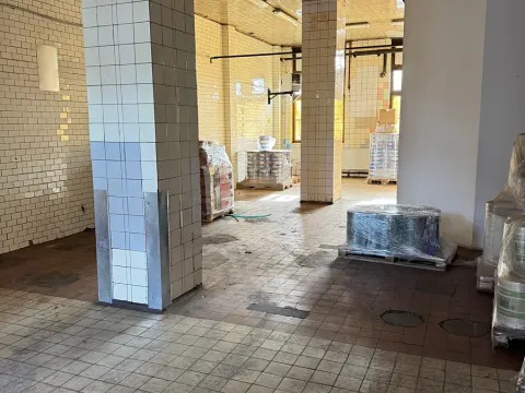 Pronájem skladu, Pardubice, Jana Palacha, 162 m2