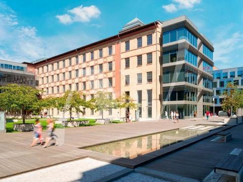 Pronájem kanceláře, Praha - Holešovice, Jankovcova, 366 m2