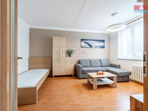 Pronájem bytu 1+1, Jihlava, Březinova, 33 m2