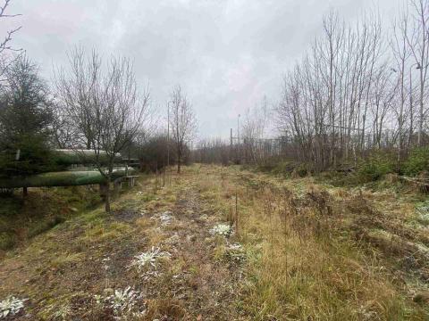 Prodej pozemku, Zliv, 311 m2