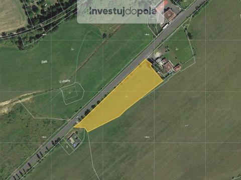 Prodej louky, Kynšperk nad Ohří - Zlatá, 7490 m2