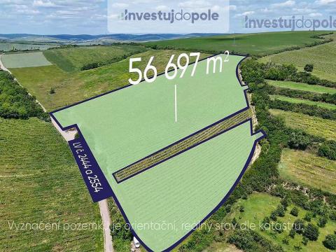 Prodej pozemku, Šardice, 56697 m2