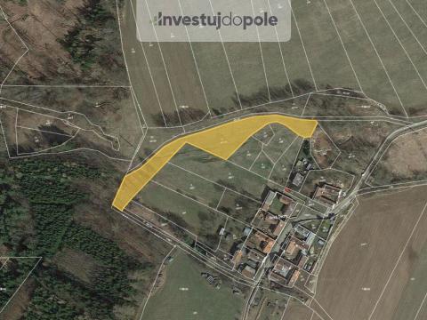 Prodej louky, Smilovy Hory - Františkov, 4185 m2