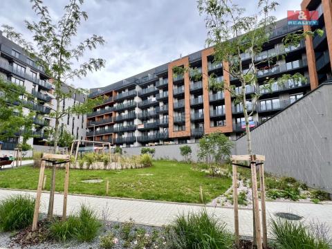 Pronájem bytu 1+kk, Praha, Otická, 34 m2