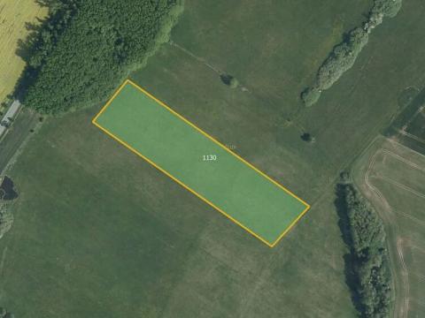Prodej podílu louky, Libišany, 8831 m2
