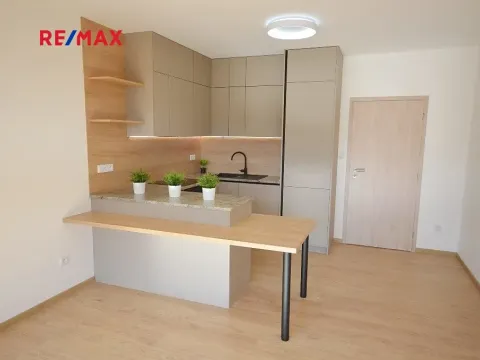 Pronájem bytu 2+kk, Slaný, Lázeňská, 52 m2