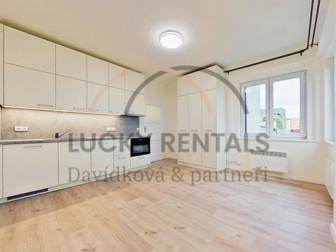 Pronájem bytu 1+kk, Praha - Podolí, Levá, 27 m2