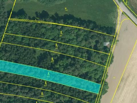 Prodej podílu lesa, Dříteň, 3282 m2