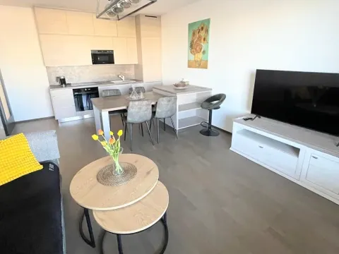 Pronájem bytu 2+kk, Praha - Vysočany, Pechmanových, 55 m2