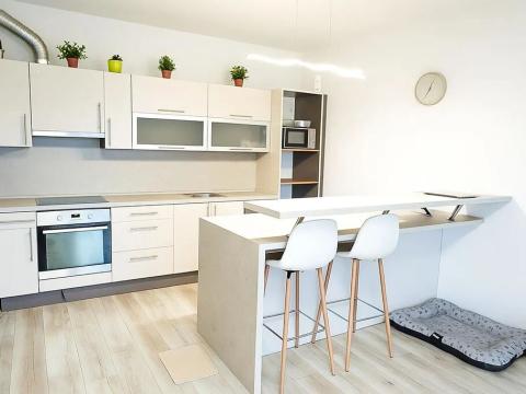 Pronájem bytu 2+kk, Mladá Boleslav, 79 m2