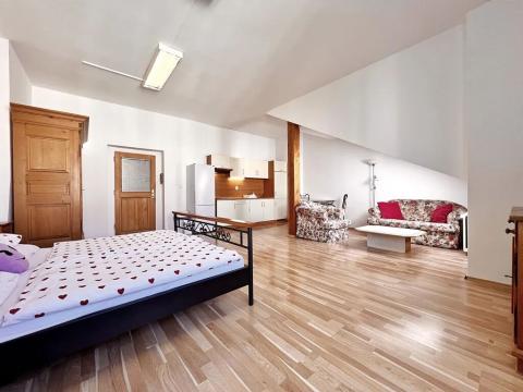 Pronájem bytu 1+kk, Praha - Vinohrady, Dykova, 44 m2