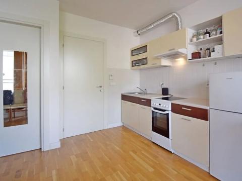 Pronájem bytu 1+kk, Praha - Libeň, Drahobejlova, 40 m2