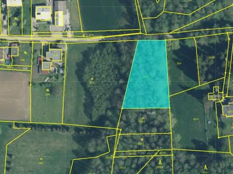 Prodej lesa, Orlová, Větrná, 2329 m2