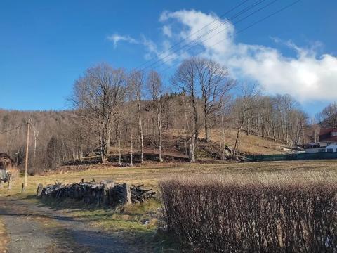 Prodej pozemku pro bydlení, Bílý Potok, 2457 m2