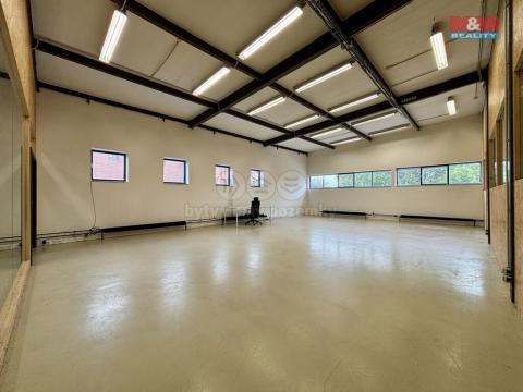 Pronájem kanceláře, Ostrava - Moravská Ostrava, 120 m2